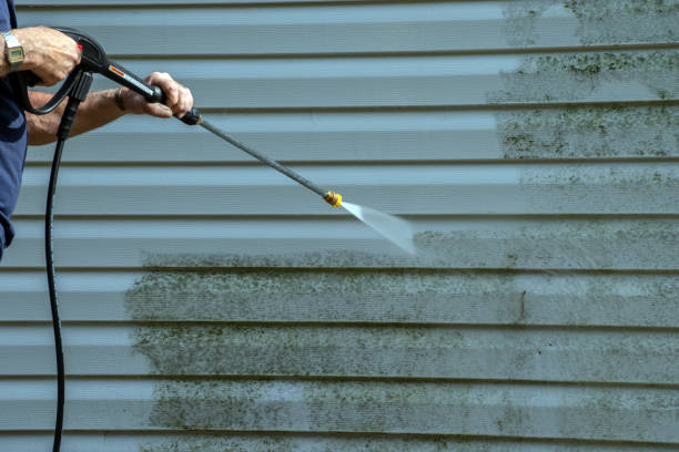 Best Concrete Pressure Washing  in Armada, MI