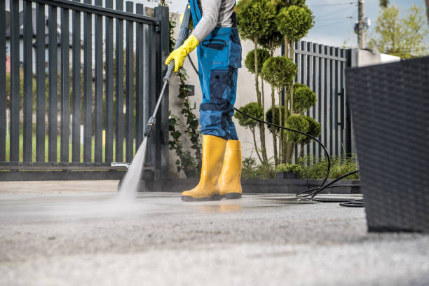 Best Residential Pressure Washing Services  in Armada, MI