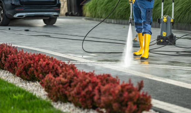 Best Local Pressure Washing Services  in Armada, MI