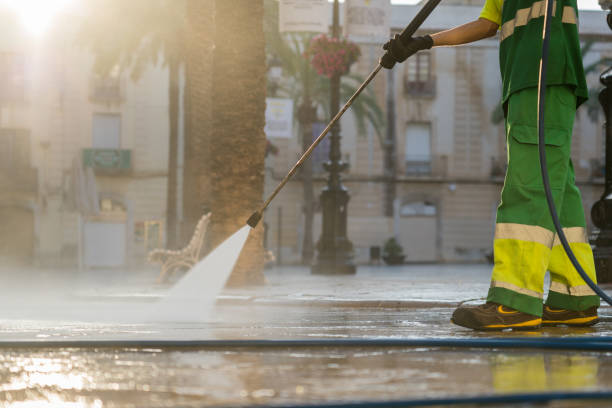 Best Roof Power Washing Services  in Armada, MI