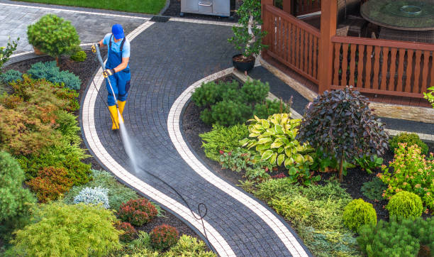 Best Pressure Washing Near Me  in Armada, MI